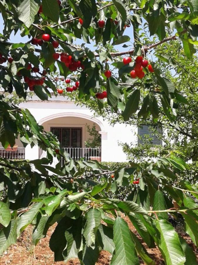 La Volpina Bed & Breakfast มาร์ตินาฟรังกา ภายนอก รูปภาพ
